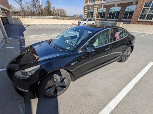 Photo 5 of 14 of 2019 Tesla Model 3 Standard Range Plus